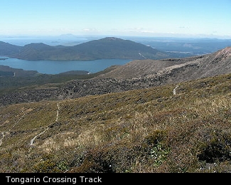 Tongario Crossing Track
